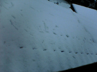 2008.02_1