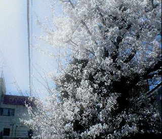 2008.04_1