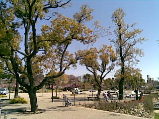 2009.03_02