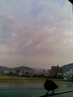 2010.01_04
