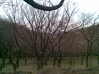 2010.03_02