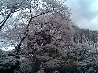 2010.04_01