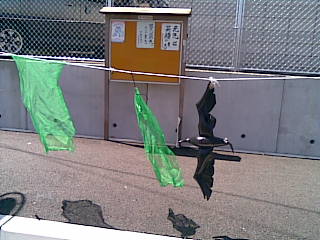 2010.05_01