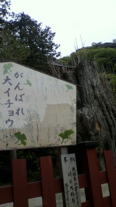 2011.04_05