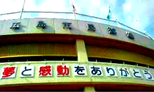 carp_2008_1
