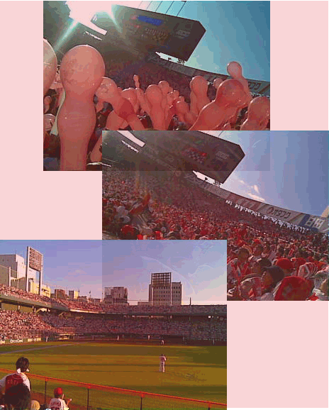 carp_2008_3