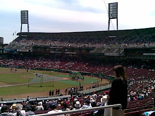 carp_2010_3