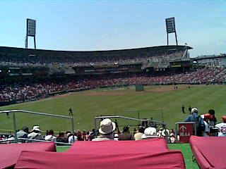 carp_2010_4