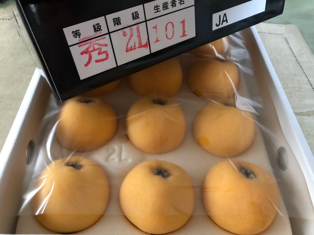 fruit_2