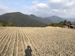 kumano