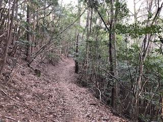 kumano