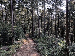 kumano