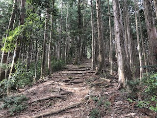 kumano