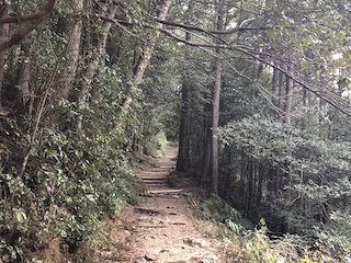 kumano