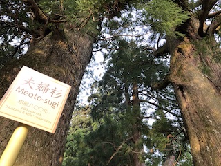 kumano