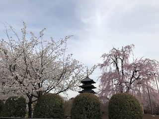 kyoto