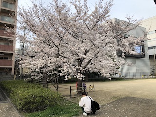 kyoto
