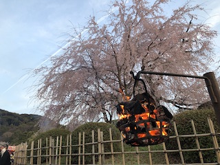 kyoto
