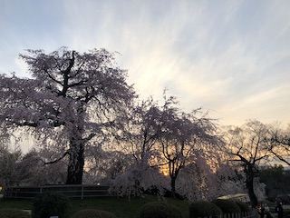 kyoto