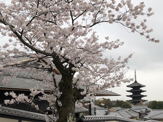 kyoto