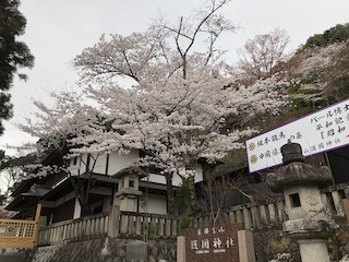 kyoto