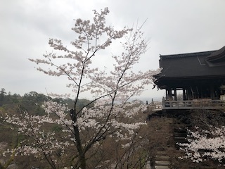 kyoto