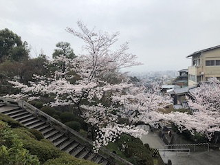 kyoto