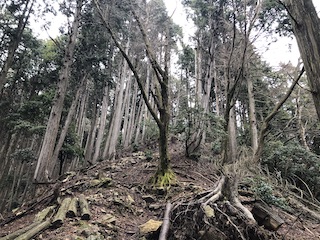 kyoto
