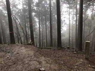 kyoto