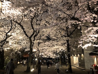 kyoto