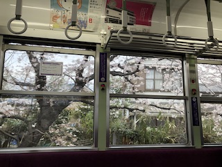kyoto