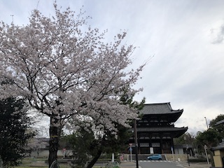 kyoto