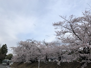 kyoto