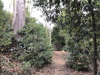 kyoto