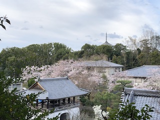 kyoto