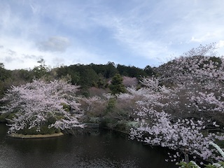 kyoto