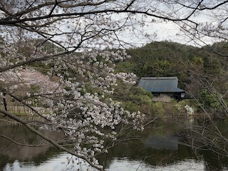 kyoto