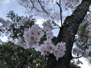 kyoto