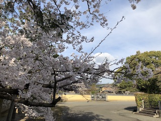kyoto