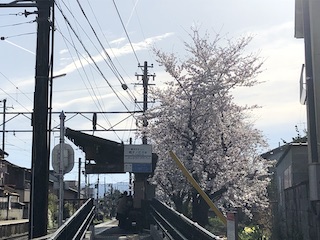 kyoto