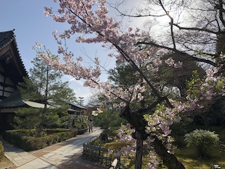 kyoto