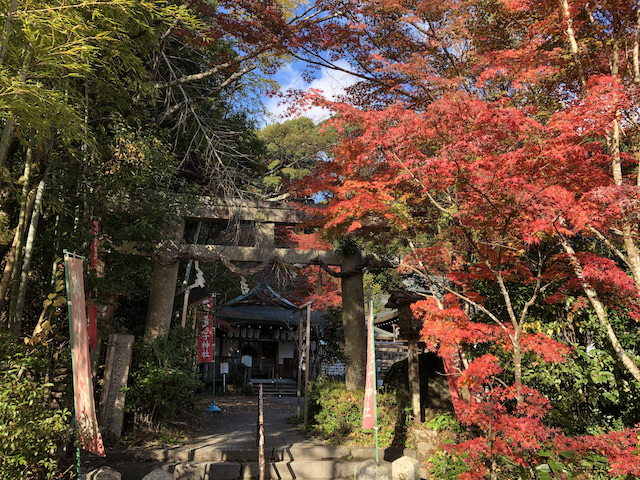 kyoto_08