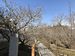 kyoto