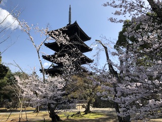 kyoto