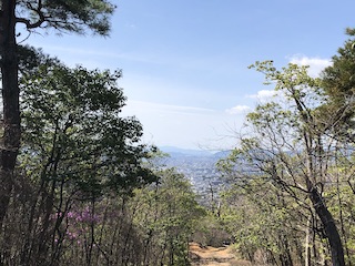 kyoto