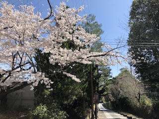 kyoto