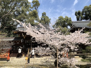 kyoto