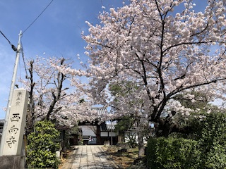 kyoto