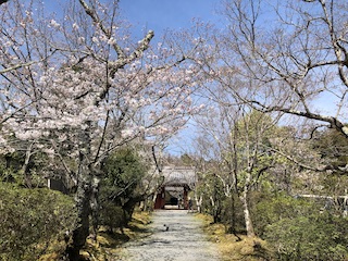 kyoto
