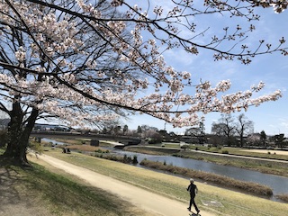 kyoto
